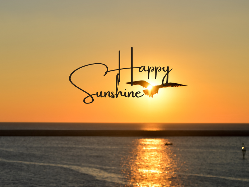 Vitamin D – das Sonnenvitamin und warum es so wichtig für unsere Gesundheit ist