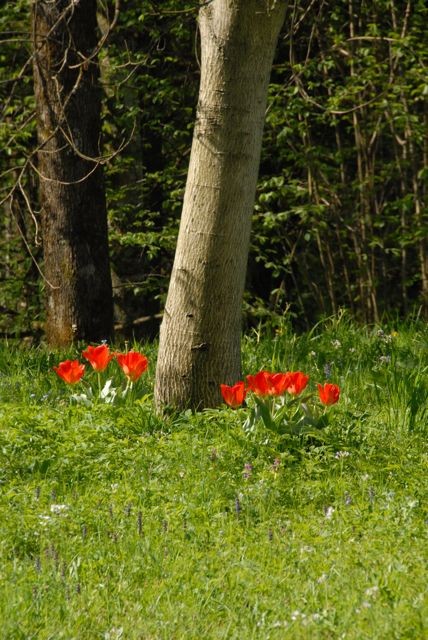 War der Osterhase schon da?