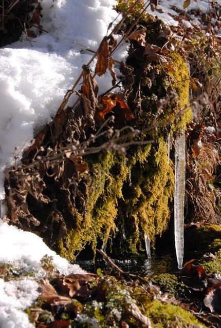 Eiszapfen am Brünnlein