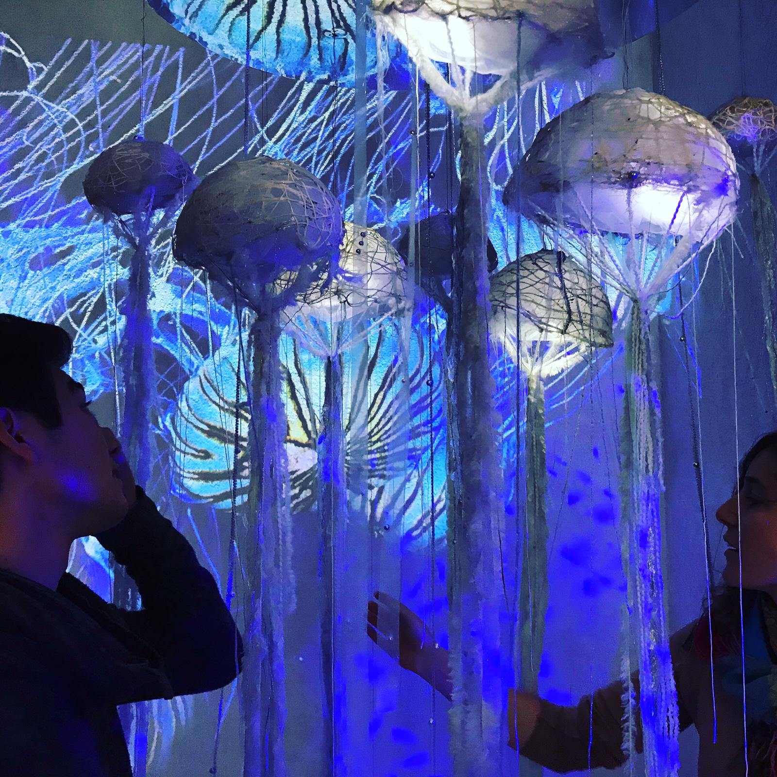 Au festival des arts numériques de Thonon les Bains