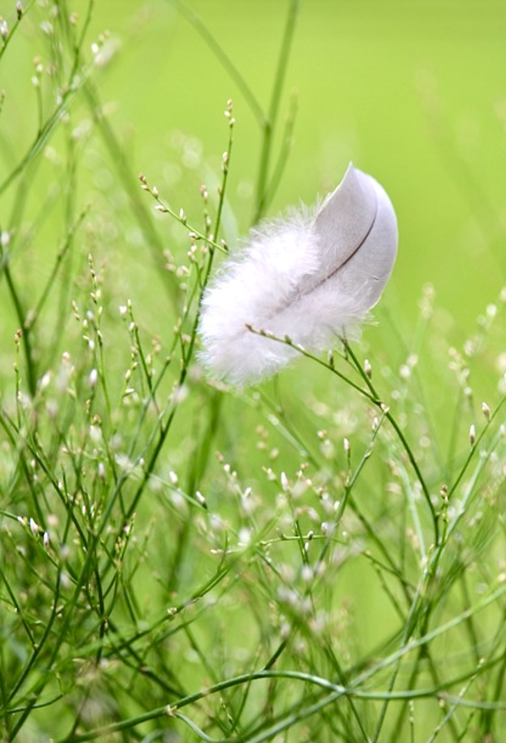Inner feminine & Inner masculine beyond gender