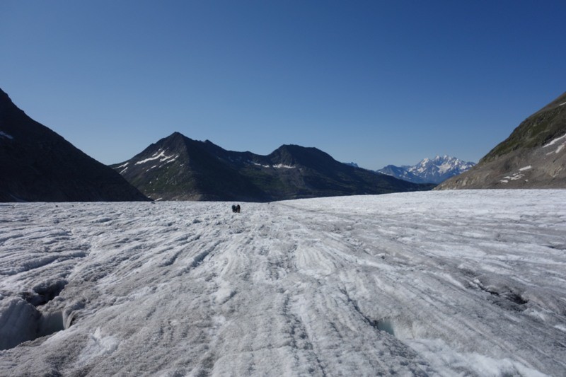 Aletschgletscherwanderung