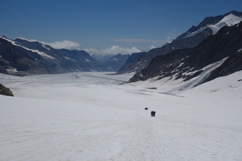 Unterwegs vom Jungfraujoch zum Konkordiaplatz.