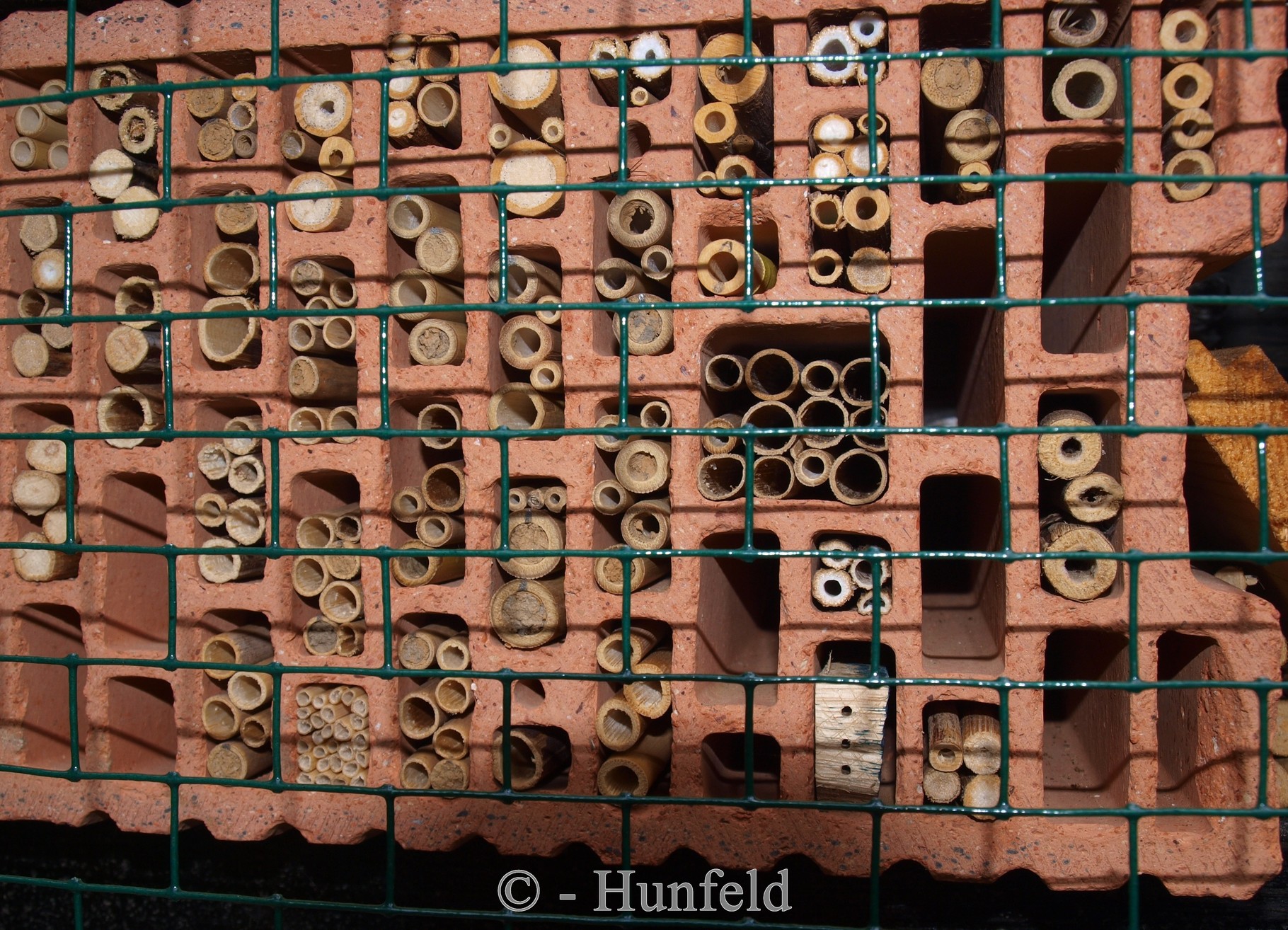Wildbienenhaus Insektenhotel Hohlblockstein Stein Ytong Ton Fehler