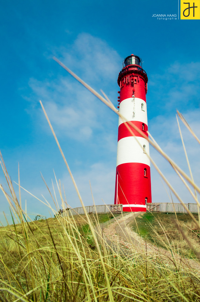 Nordfriesische Insel Amrum - © JOANNA HAAG