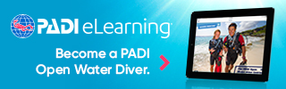 banner for padi elearning