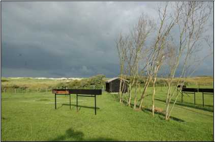 Vinkenbaan Westenschouwen