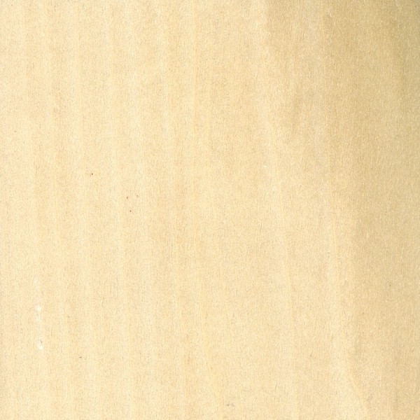 Poplar