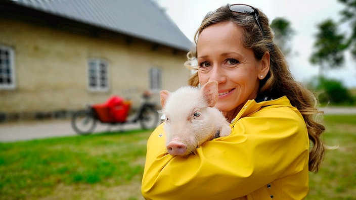 der wdr kommt sylter suppen lecker und vegan