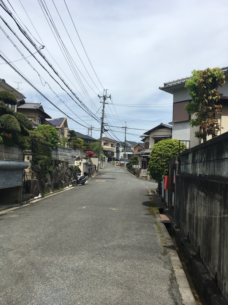 この道を２０メートルほど進むと