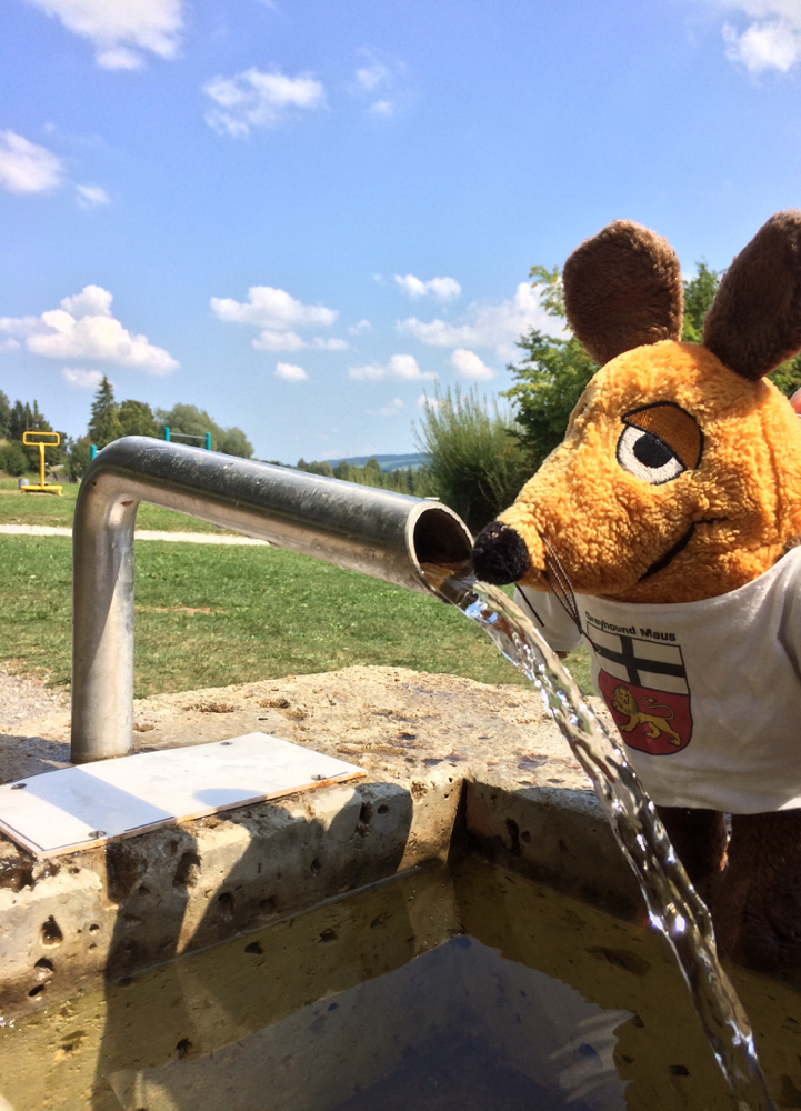 Unterwegs kühlte ich mich regelmäßig mit kaltem Wasser ab. War das eine Wohltat !