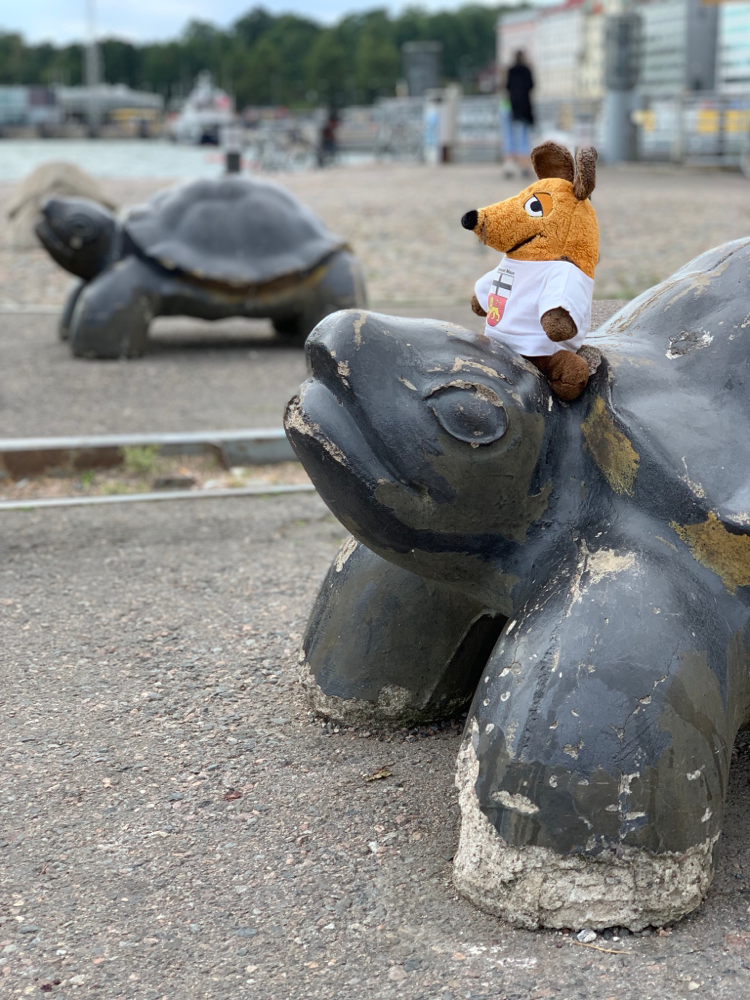 Während ich todesmutig eine Schildkröte bestieg,