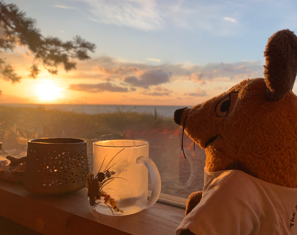 Maus wartet während unserer Abwesenheit auf den Sonnenuntergang