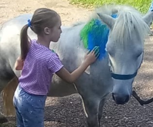 Ponyreiten  VIP Unterricht 