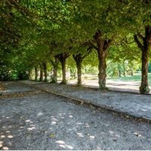 Terrains de pétanque