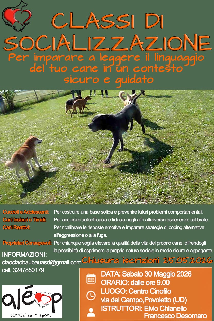 Un pomeriggio dedicato ad affrontare le piccole emergenze dei nostri cani