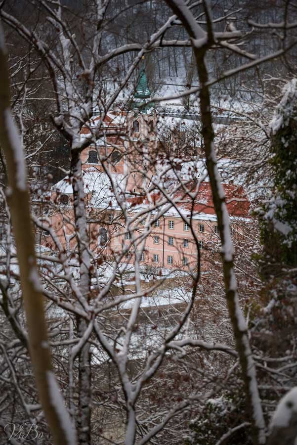 Kloster Weltenburg durch die Bäume.