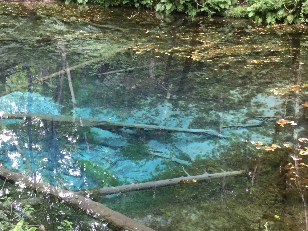 神の子池　綺麗すぎる水