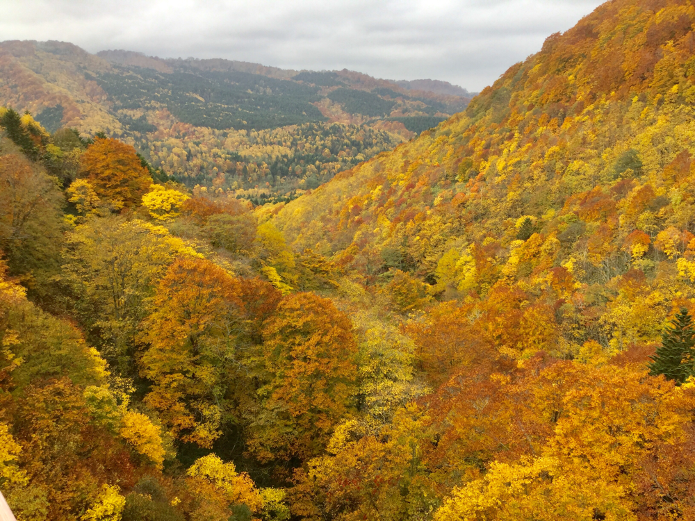 北海道せたな町左股の紅葉