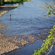 Pêche en rivière ou en étang à proximité du Gîte le Vieux Frêne