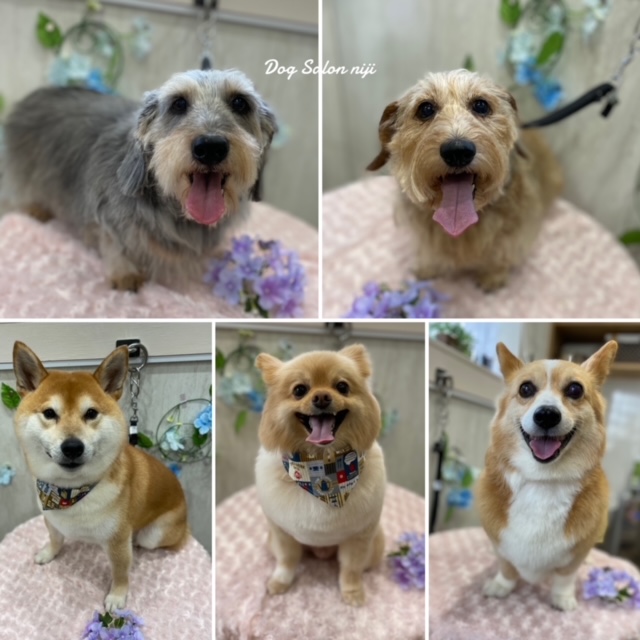 本日のお客様