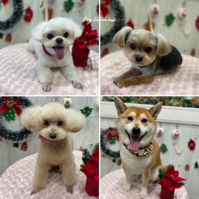 本日のお客様