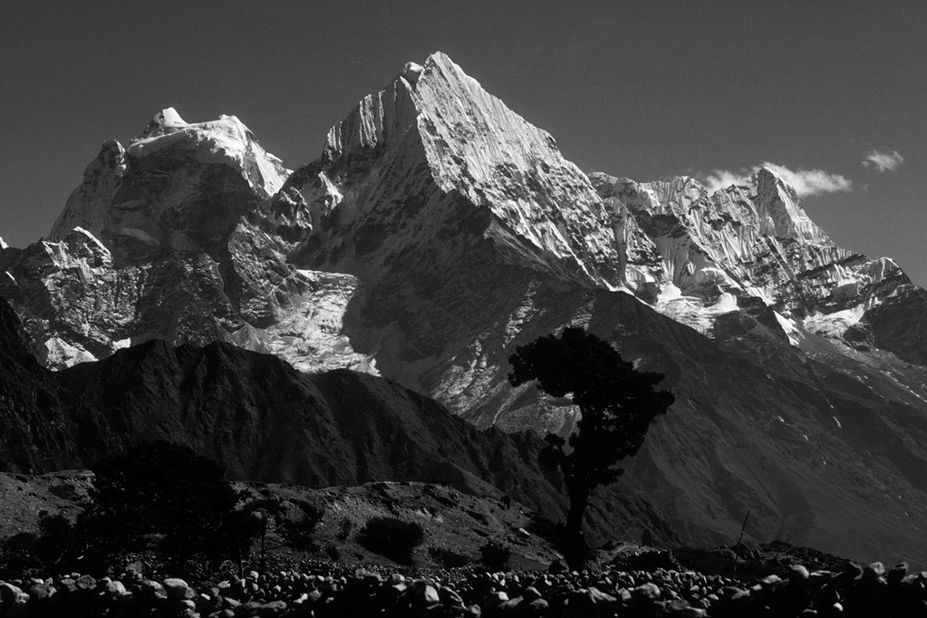 Thamserku  6623m  "Der letzte Baum!" von Thame