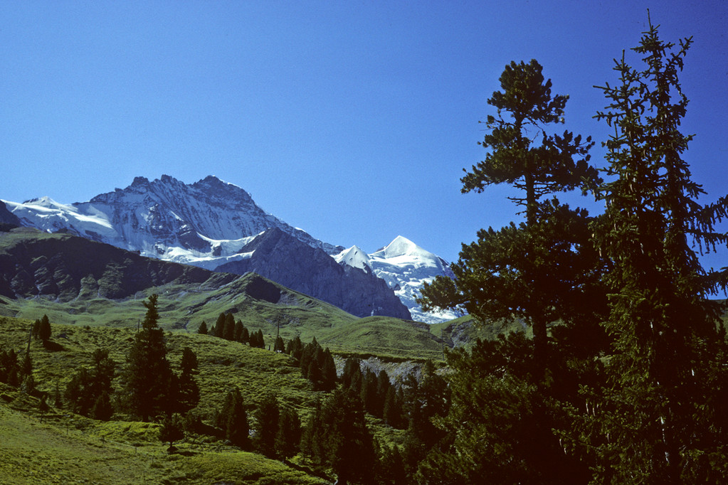 Jungfrau  4158m mit Silberhorn