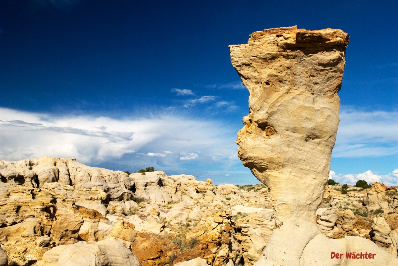 DE-NA-ZIN Wilderness In der Wildnis mit Kamera, SUV + GPS - gkfoto
