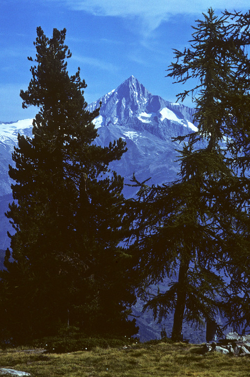 Bietschhorn 3934m  von der Hannigalp