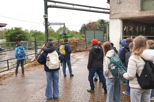 Projekttag zur Bodenfruchtbarkeit, Pfarrgut Taubenheim 2026, Foto: EvW