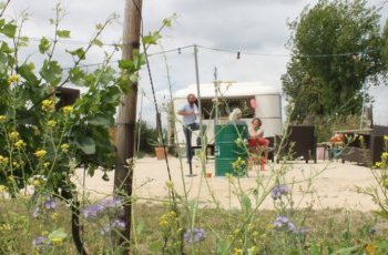 Bio-Erlebnistage 2026 - Auf den Spuren des ökologischen Landbaus im Meißner Land