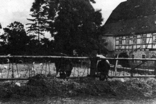 Kuhring bei Frau Kästner, Nössige 1936, Foto: Nachlass Benno von Heynitz