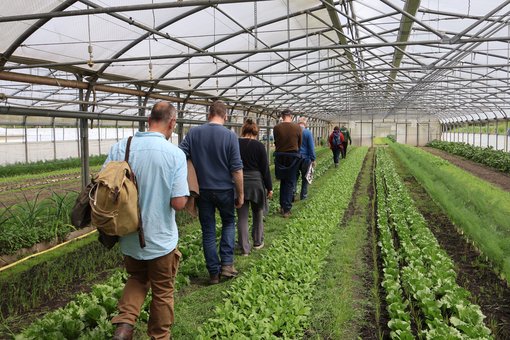 Bio-Gemüsenbau am Auenhof, Foto: EvW, 2026