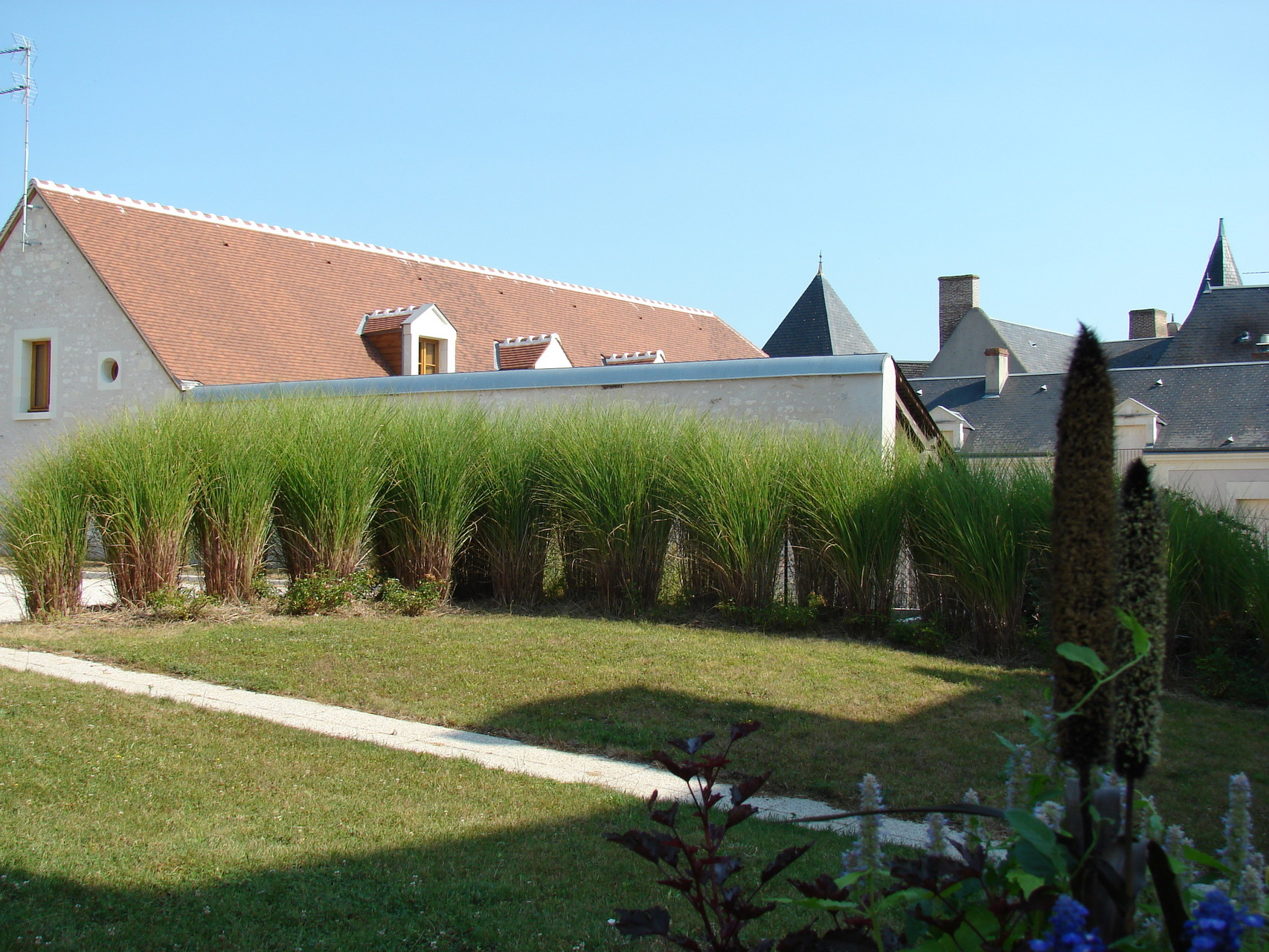 Mareuil sur cher