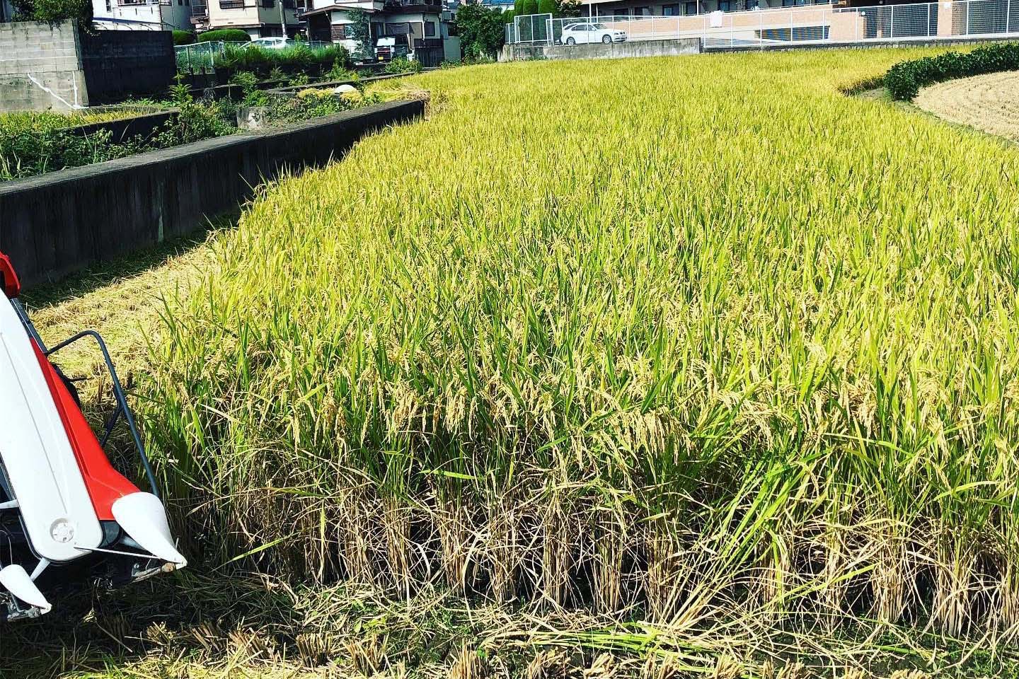 暮らしと共存する 地域農業の創造で