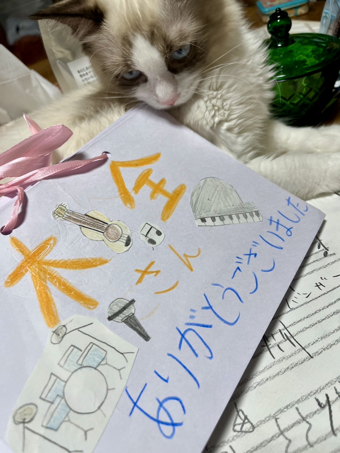 2024年11月スケジュール。