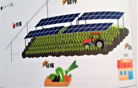 ソーラーシェアリング事業を進める会社の説明資料から