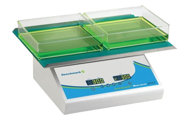 BR5000 Mecedora Everlast™ con velocidad variable y alfombrilla plana, Benchmark.