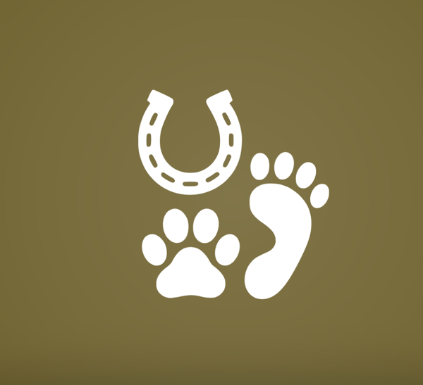 tierphysiobeihenis Webseite!