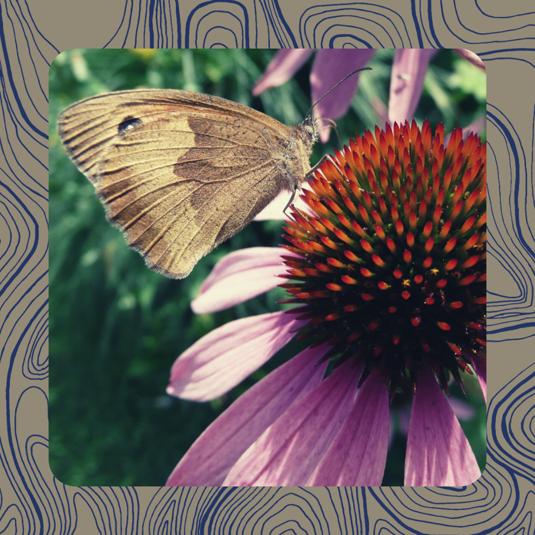 DIE BEDEUTUNG DER 5 SINNE AM ARBEITSPLATZ