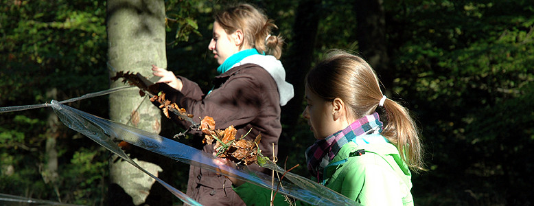 In der HVHS Loccum: Junge Mädchen als Land-Art-Künstlerinnen 