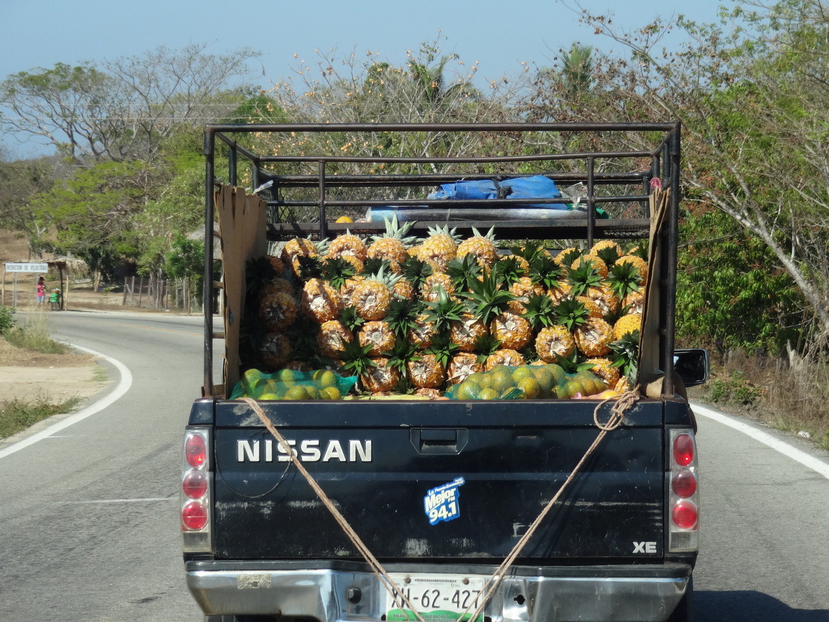 Auf dem Weg nach Acapulco mit Ananas…