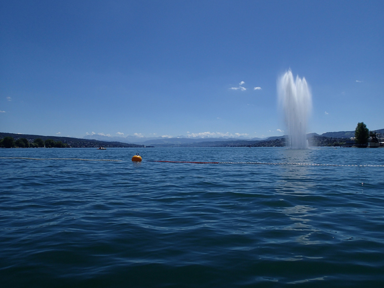 …auf dem See!