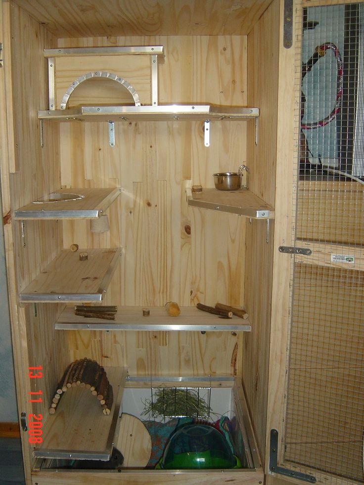 L'Habitat du chinchilla Site de chincholla