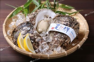 岩がき