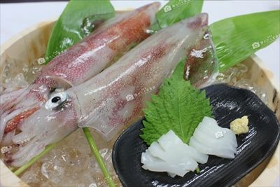 白いか