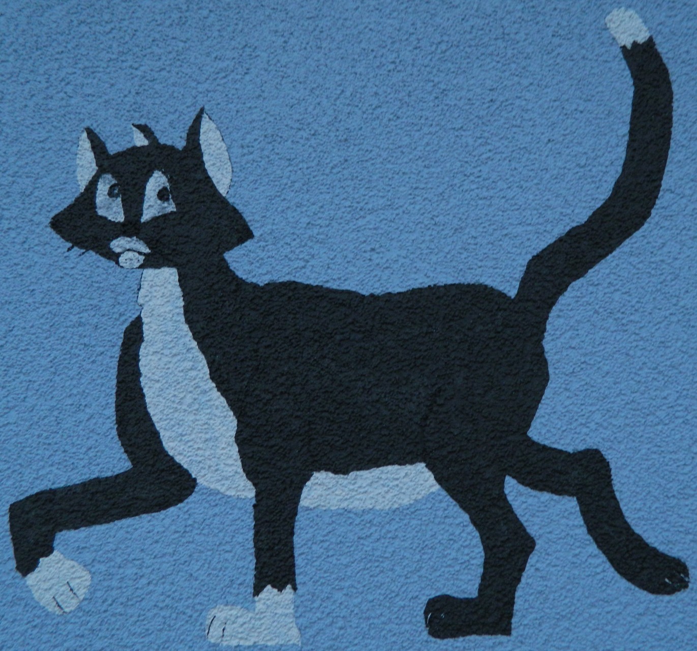 Unsere Katzen - Tierheim Bad Windsheim Webseite!