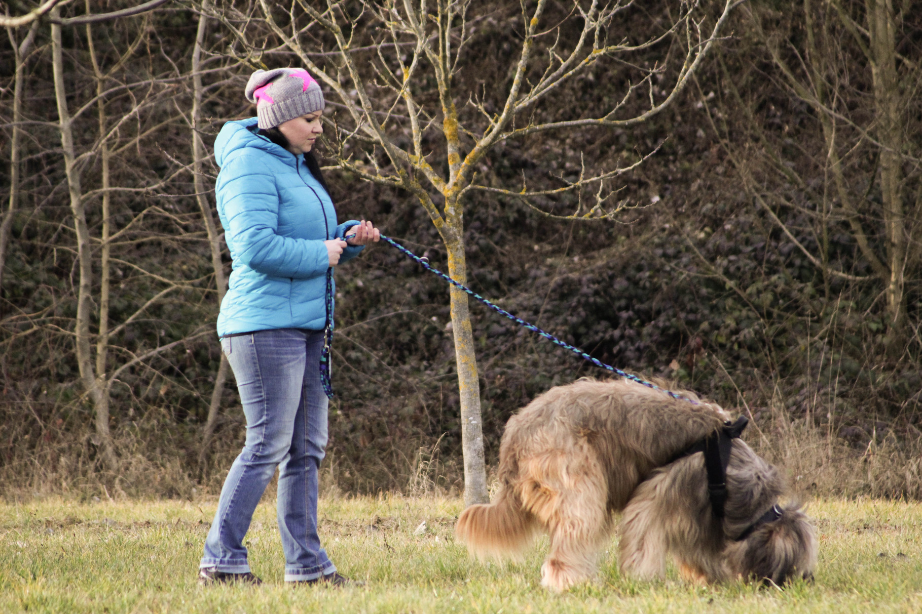 Fährtentraining Hundeschule "Mensch & Hund im Fokus"