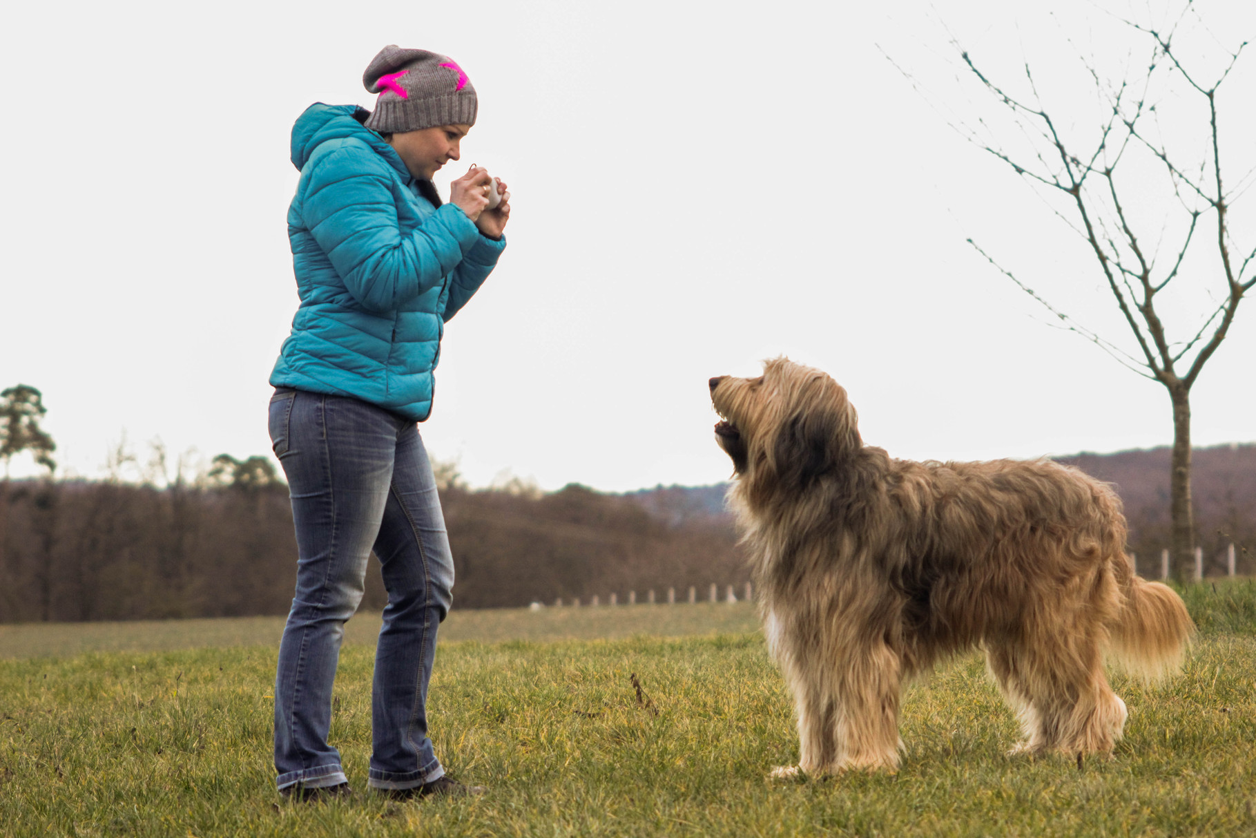 Eine tolle Beschäftigung für unterwegs! Hundeschule &quot;Mensch &amp; Hund im